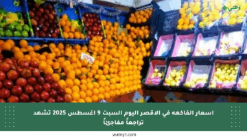 أسعار الفاكهة في الأقصر اليوم السبت 9 أغسطس 2025 تشهد تراجعاً مفاجئاً